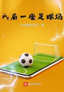 建一座足球场需要多少钱