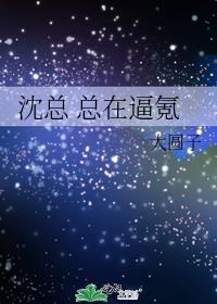 沈总总在次氪