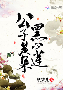 太子妃是朵黑心莲