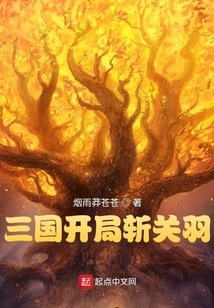 三国开局斩关羽烟雨莽苍苍