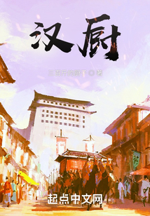 汉厨无防盗