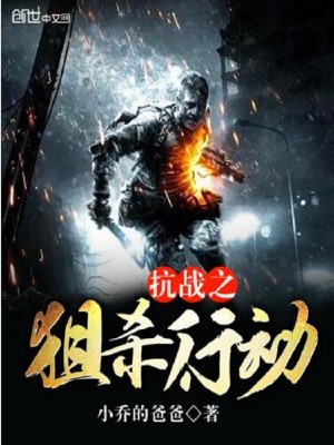 抗战之狙杀行动 第286章