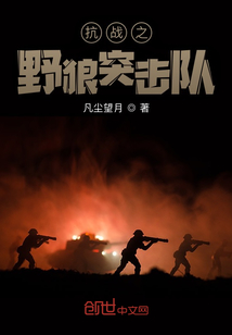 抗战之野狼突击队TXT下载