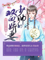 少帅的傻子娇妻电视剧