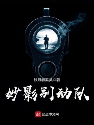 妙影别动队什么破东西