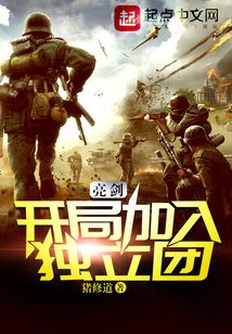 亮剑开局加入独立团猪修道