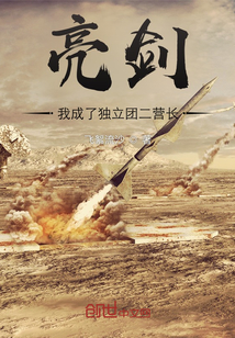亮剑:我成了独立团二营长免费阅读