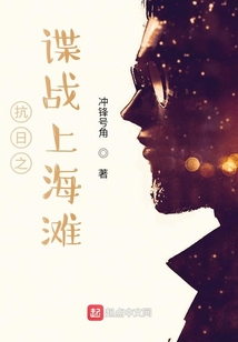 谍战上海滩原著