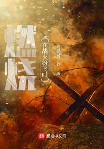 歌词 在燃烧
