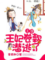 王爷,王妃卷款逃了结局