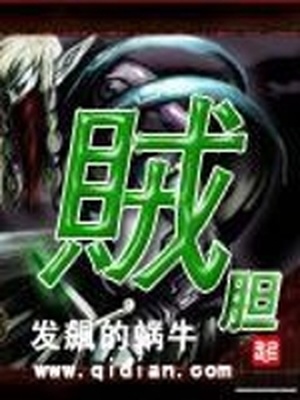 贼胆包天