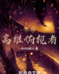 诡秘:高维俯视者