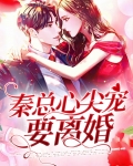 秦总心尖宠要离婚