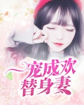 《一宠成婚》gl