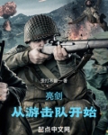 亮剑:你管这叫游击队