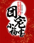 重生八五：团宠小福宝