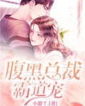 腹黑霸道总裁宠妻