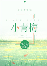 小青梅十里小娘子全文免费阅读百度网盘