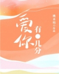 爱你有几分小说免费阅读