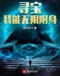 寻宝:我能无限附身 小说