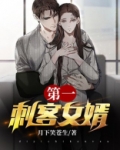 第一刺客女婿