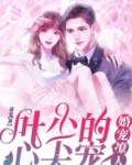 婚宠撩人，叶少的心尖宠