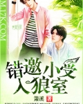 错邀小受入狼室by萧溪