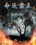 命运君王高达