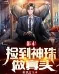 都市：捡到神珠做寡头