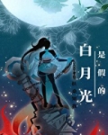白月光是假的晋江