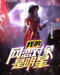 我的网恋对象是明星百度百科
