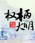 权柄大明小说免费阅读