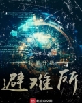 我能升级避难所TXT下载
