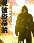 我被盗墓贼盯上了