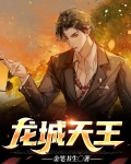 龙城的天空网游小说
