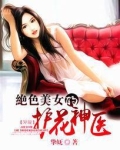 绝品护花司机 小说