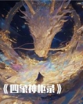 四象神针小说