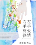 左手爱情右手离殇