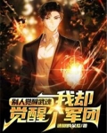 别人觉醒武魂，我却觉醒个军团