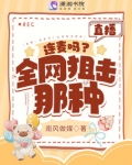直播：连麦吗？全网狙击那种