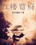 红楼贾府旁支