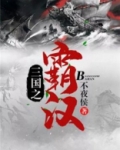三国之霸汉