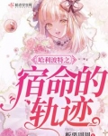 哈利波特之宿命的轨迹免费阅读