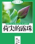 草尖上的露珠图片