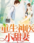 重生神医小甜妻墨北寒小说