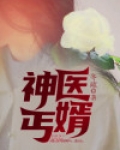 神医丐婿