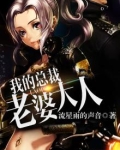 我的总裁老婆大人扬辰