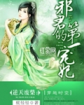 邪君的第一宠妃全文免费阅读