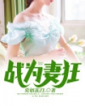 战婿为王