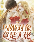 我的闪婚对象是大佬小说免费阅读